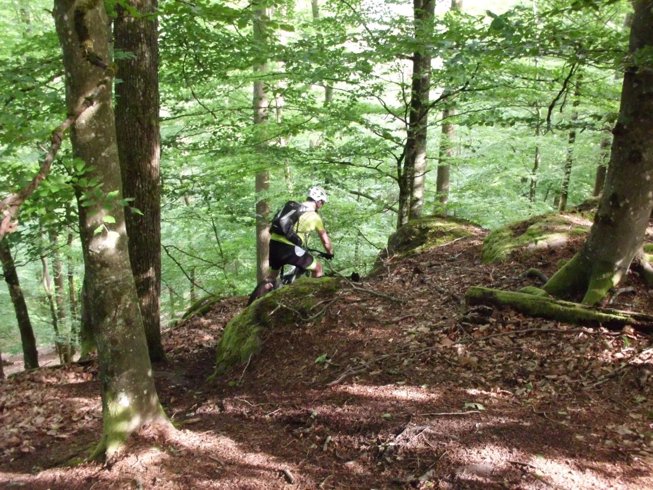 Lundi : Allez Go !