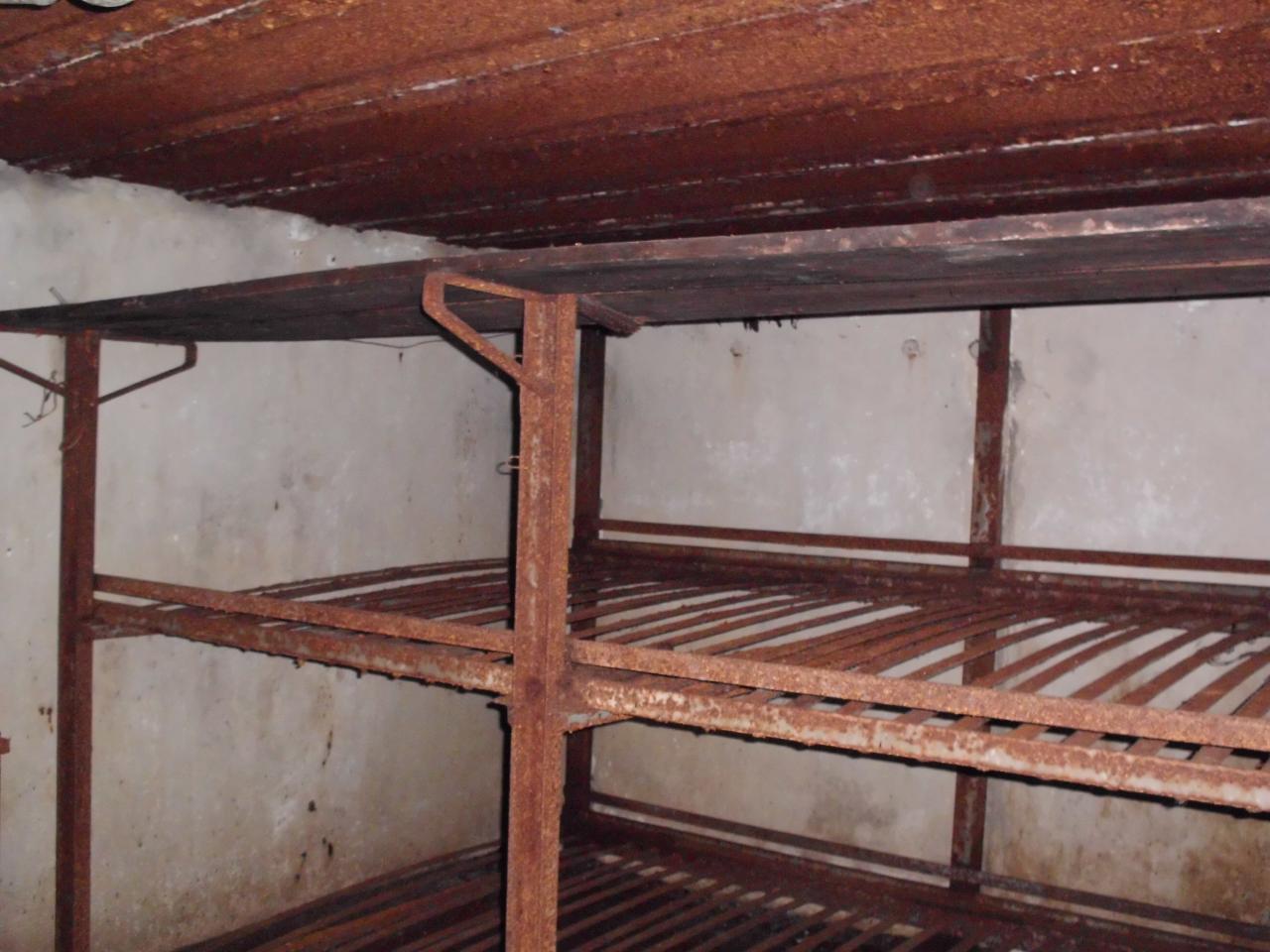 Lundi : Dodo à l'intérieur du Blockhaus