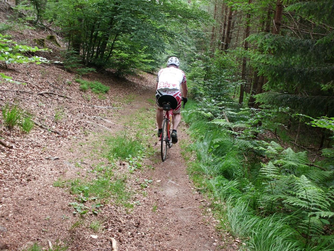 Vosges route dimanche : en Gravel