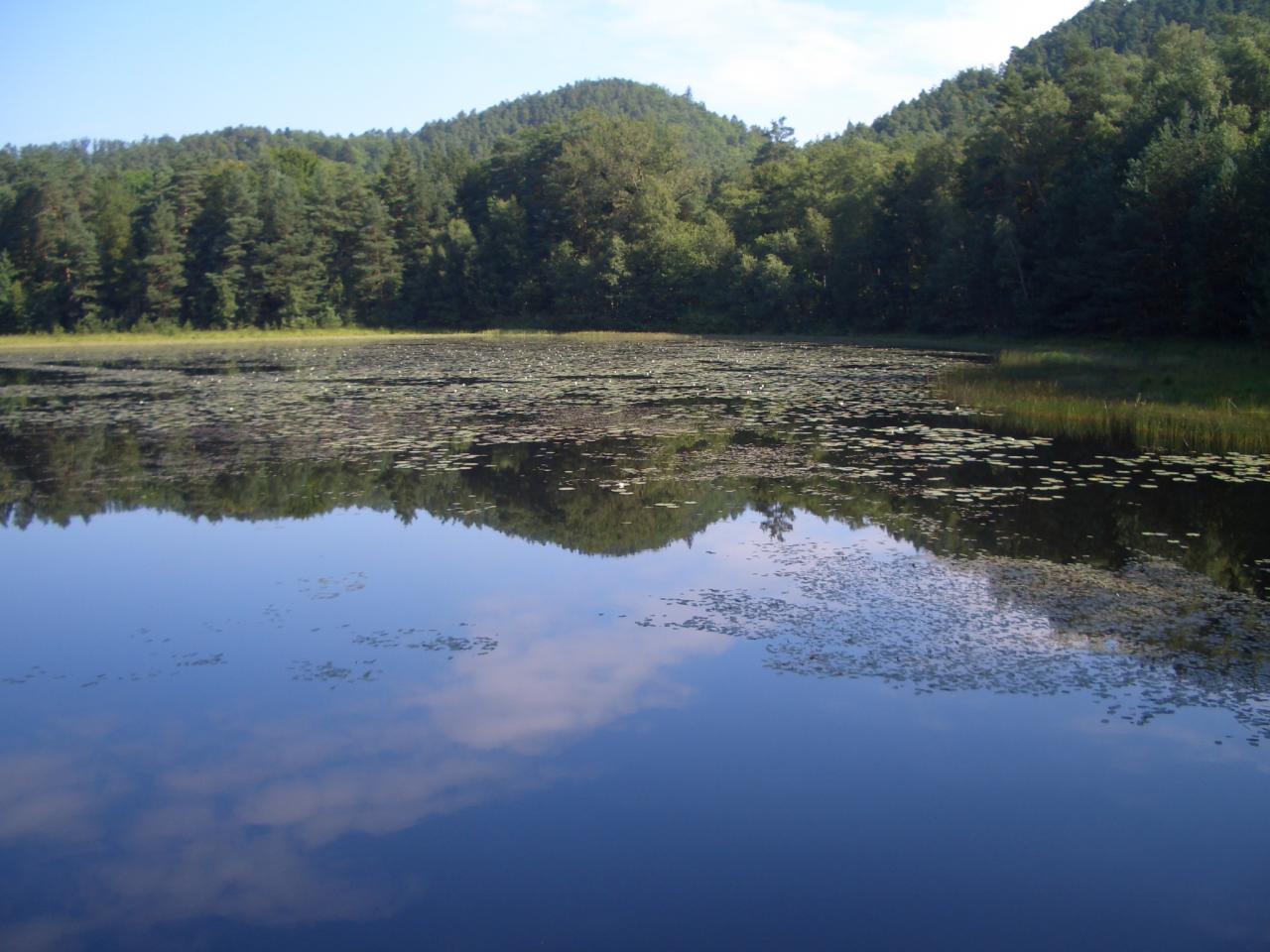 Bitche 3: Etang de Waldeck