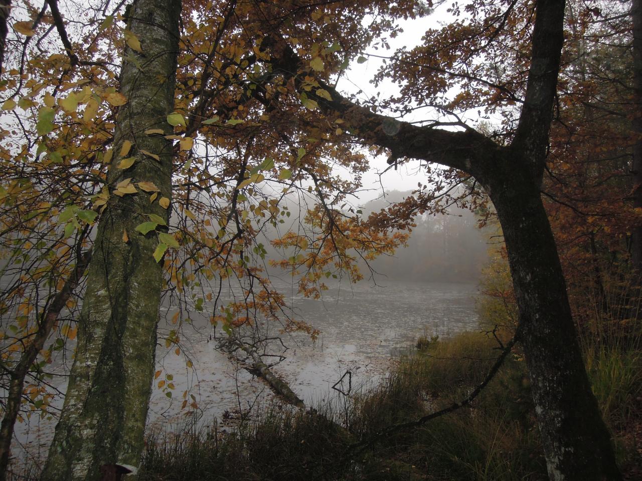Mardi Bitcherland : Etang de Lischbach
