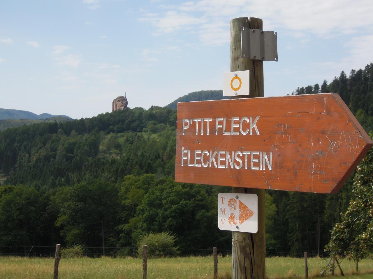 P'it Fleck
