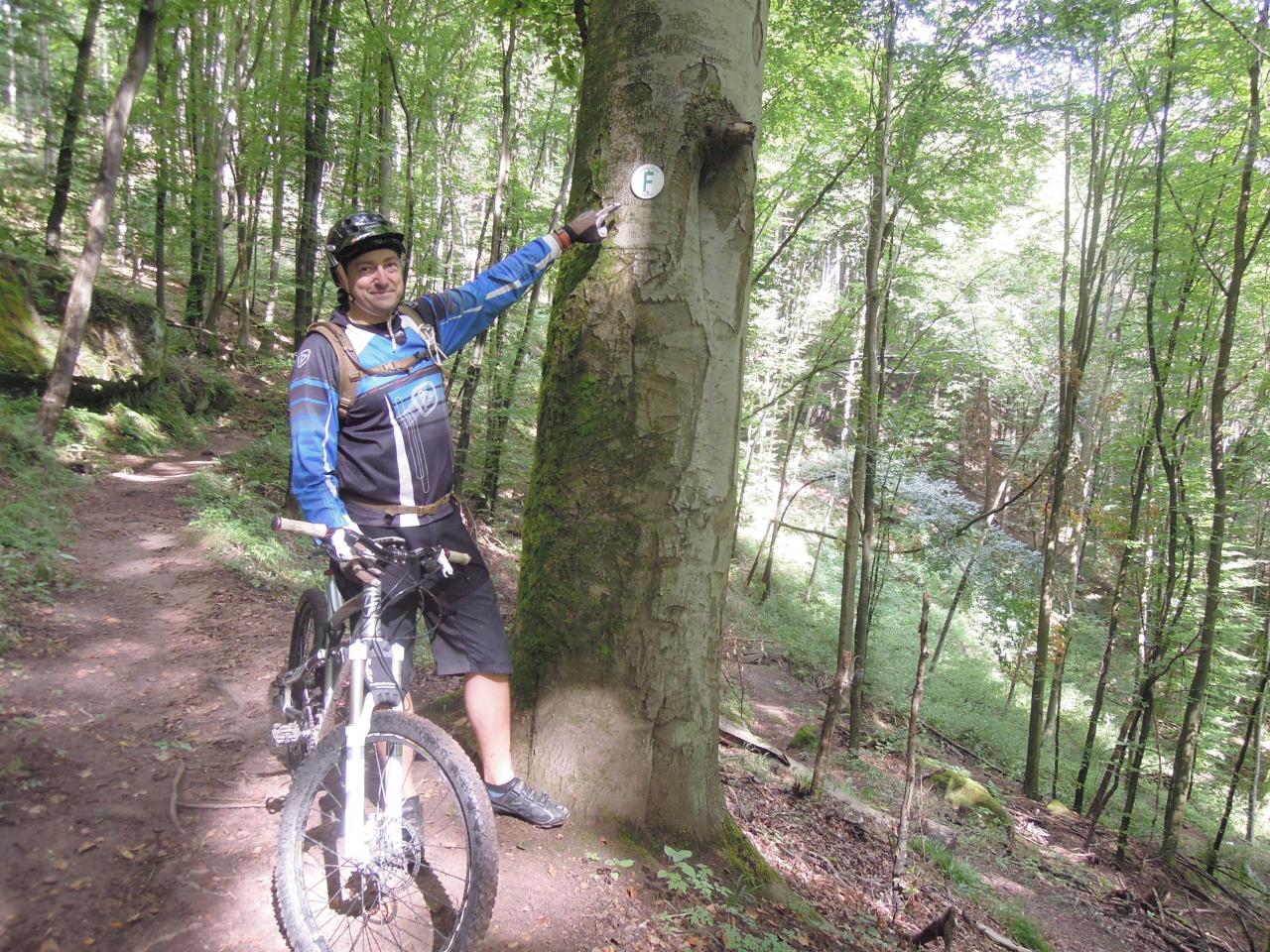 F wie Fahrrad