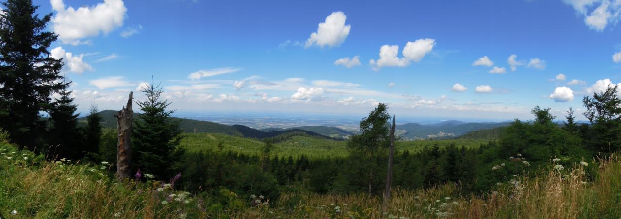 Momo Tyrol