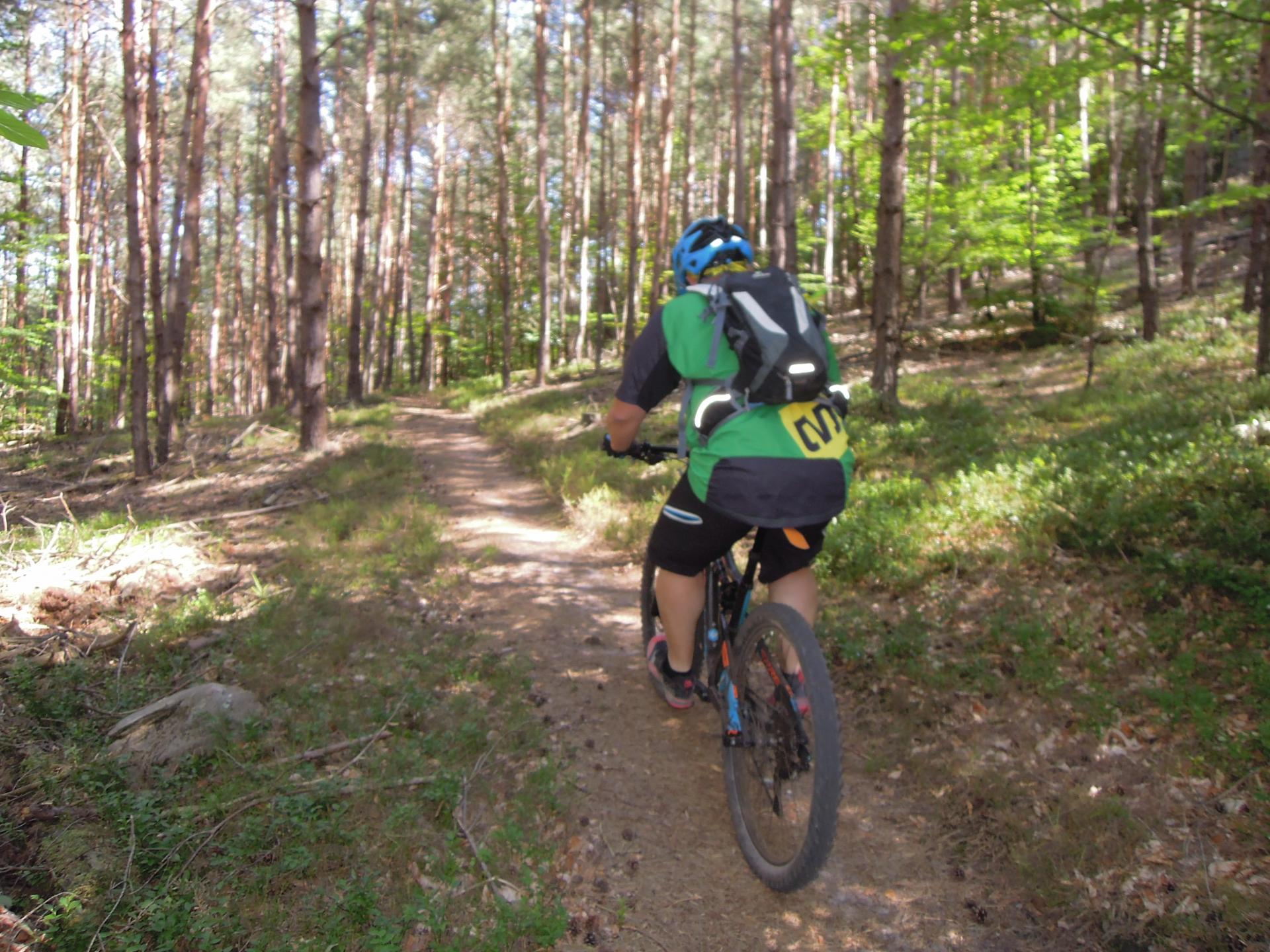 01 juillet VTT : de dos !