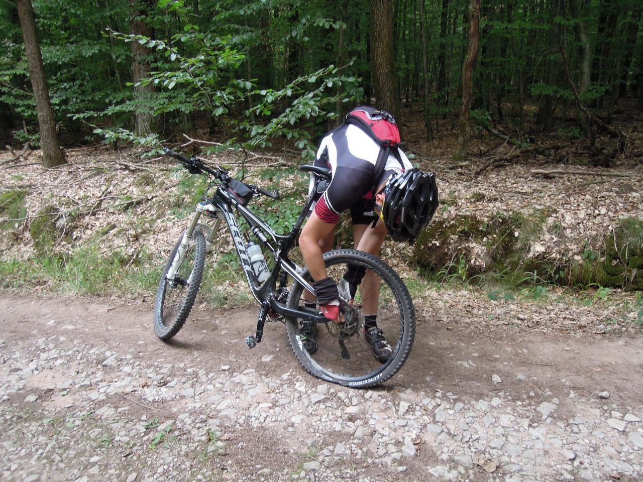 Plattmann Guillaume
