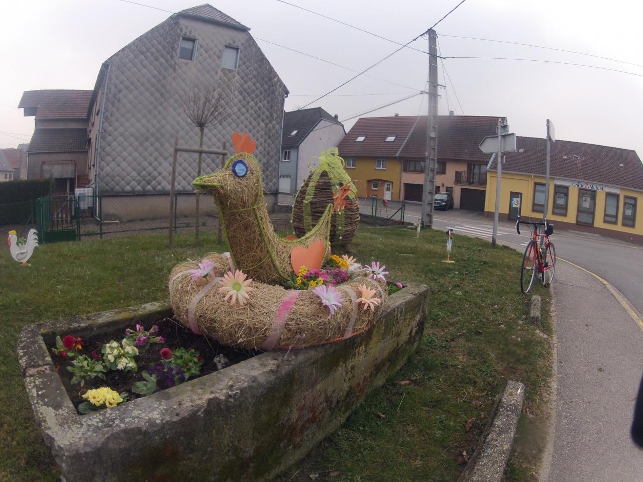 La poule à Momo