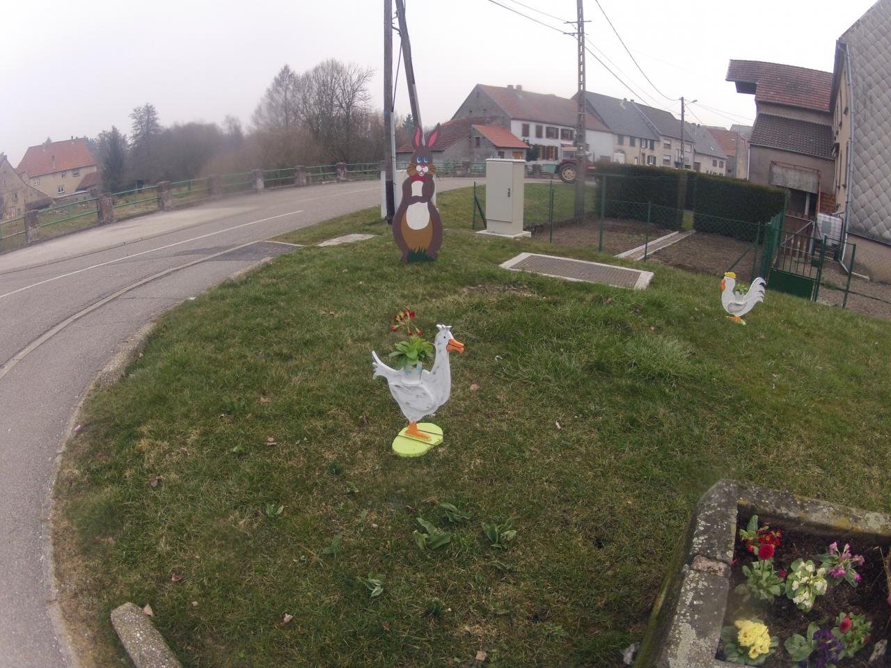 Des poulettes