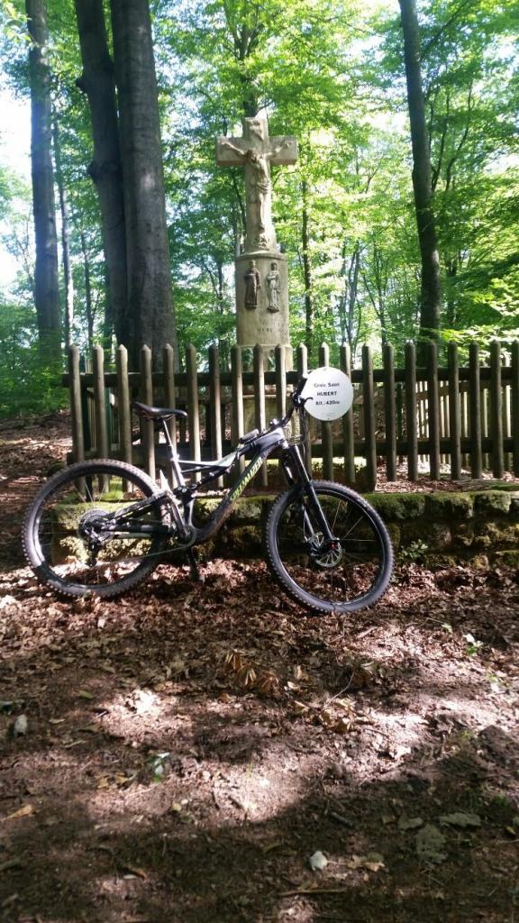 31 juillet :  Saint Hubert