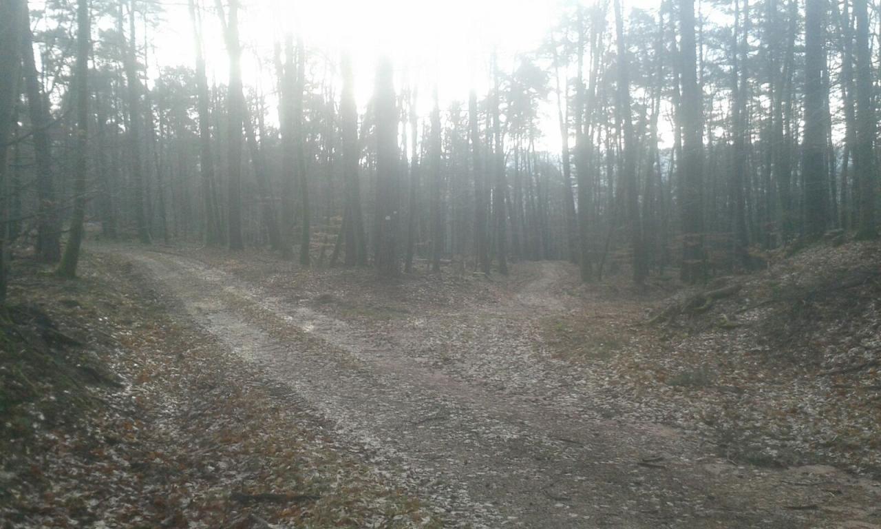 21 jan : La Petite Pièrre