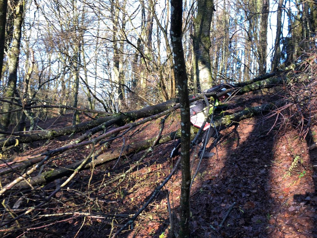 21 jan : C'est le B.... dans la forêt