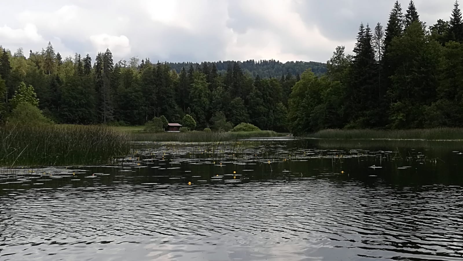 IMG-20180616-WA0003