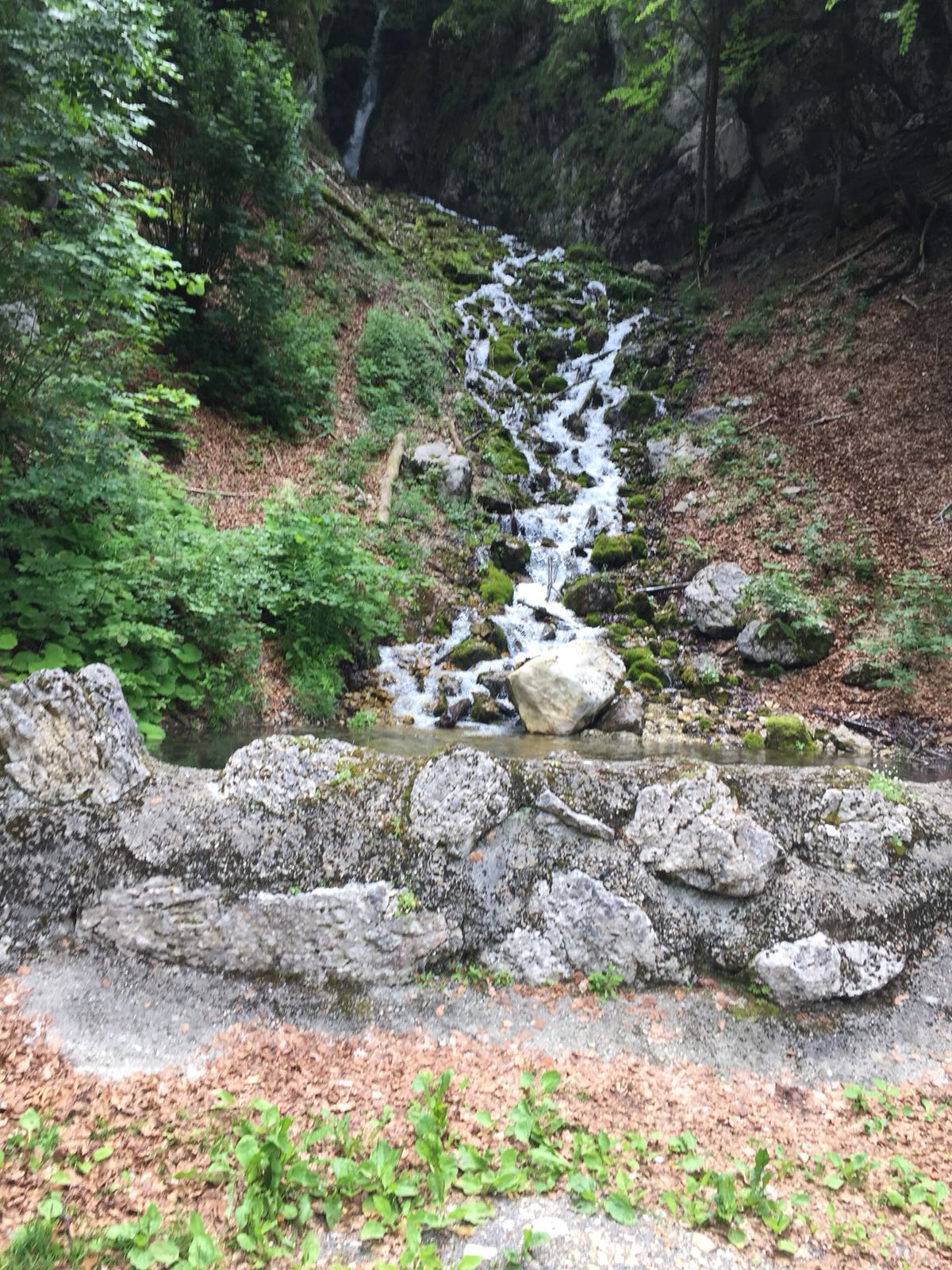 Jura 2018 :