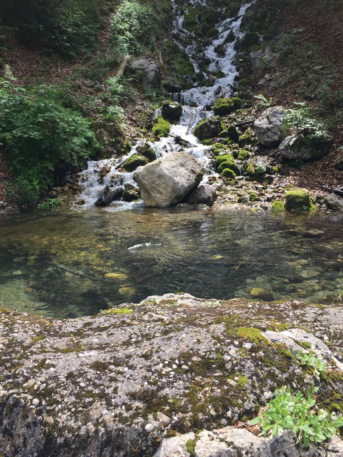 Jura 2018 :