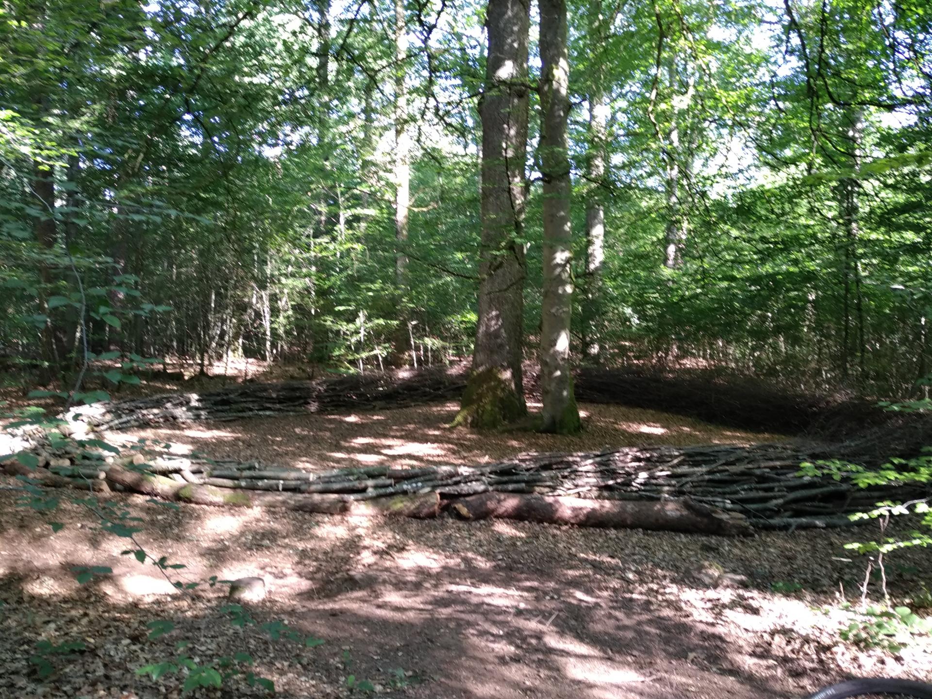 01 juillet VTT : ???????