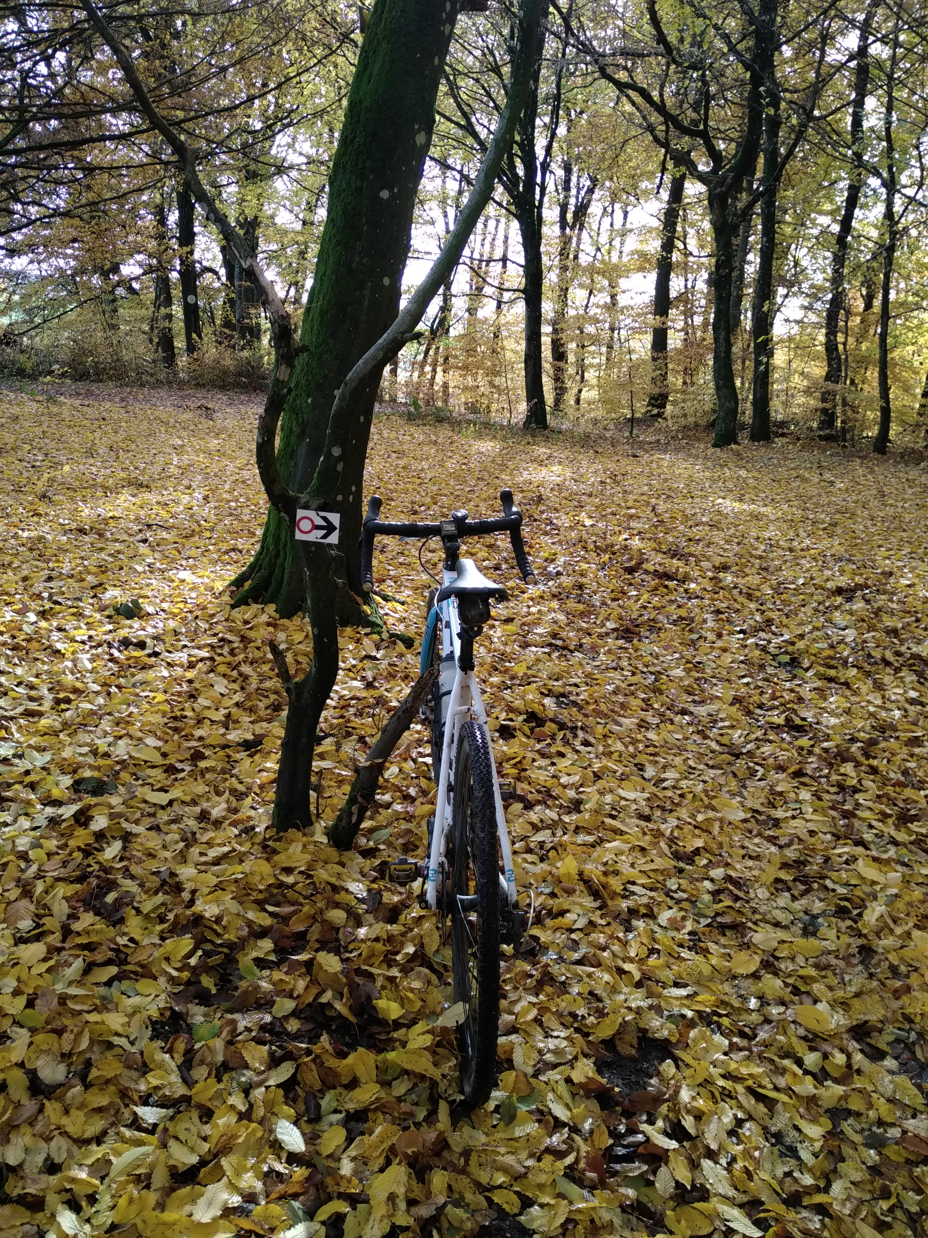 11 Nov : attention chasse en cours