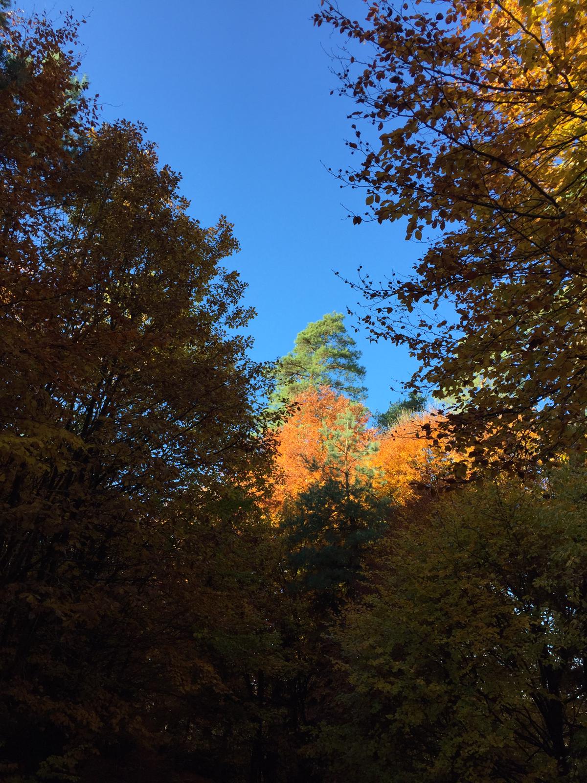 11 Nov : Maya rando
