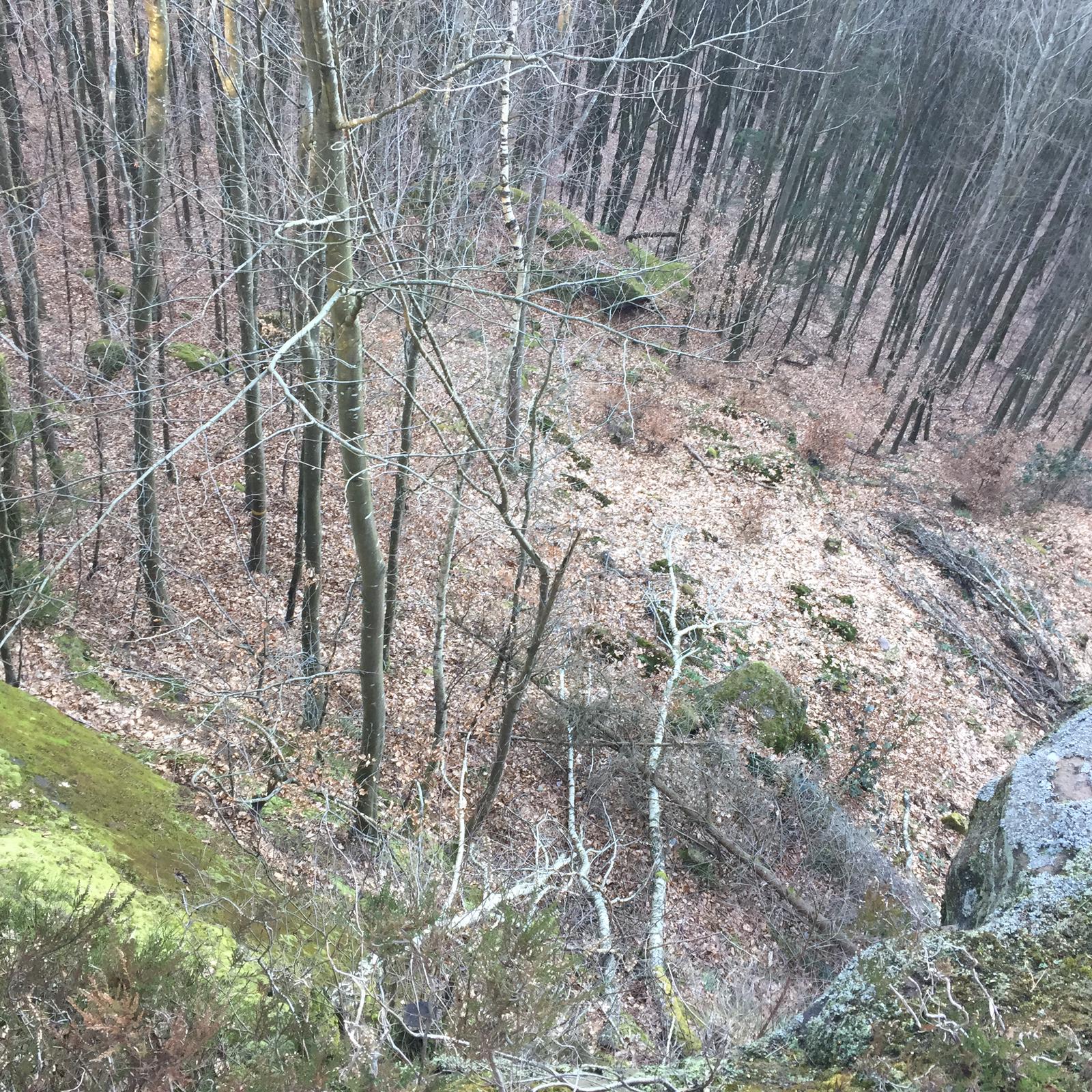 24 Fév : ...