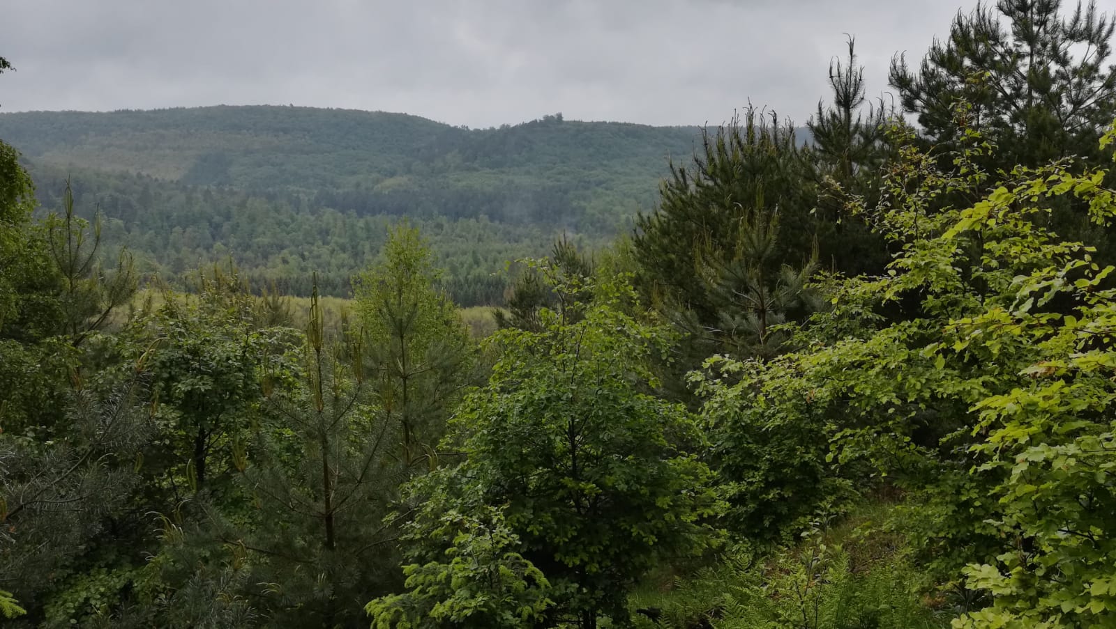 19 mai : ....
