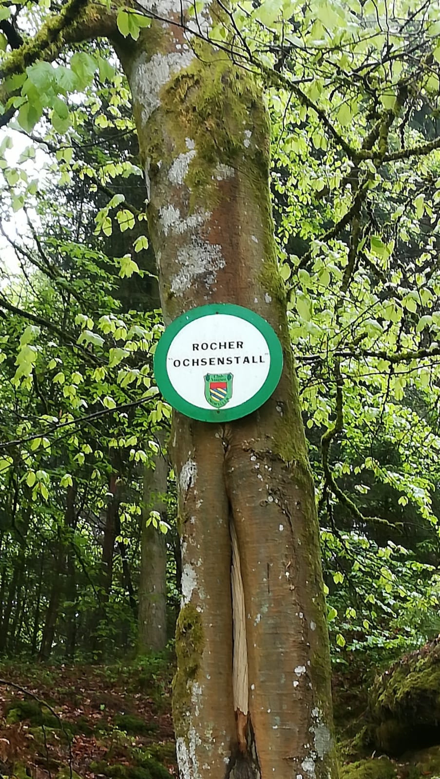 19 mai : c'est par là !