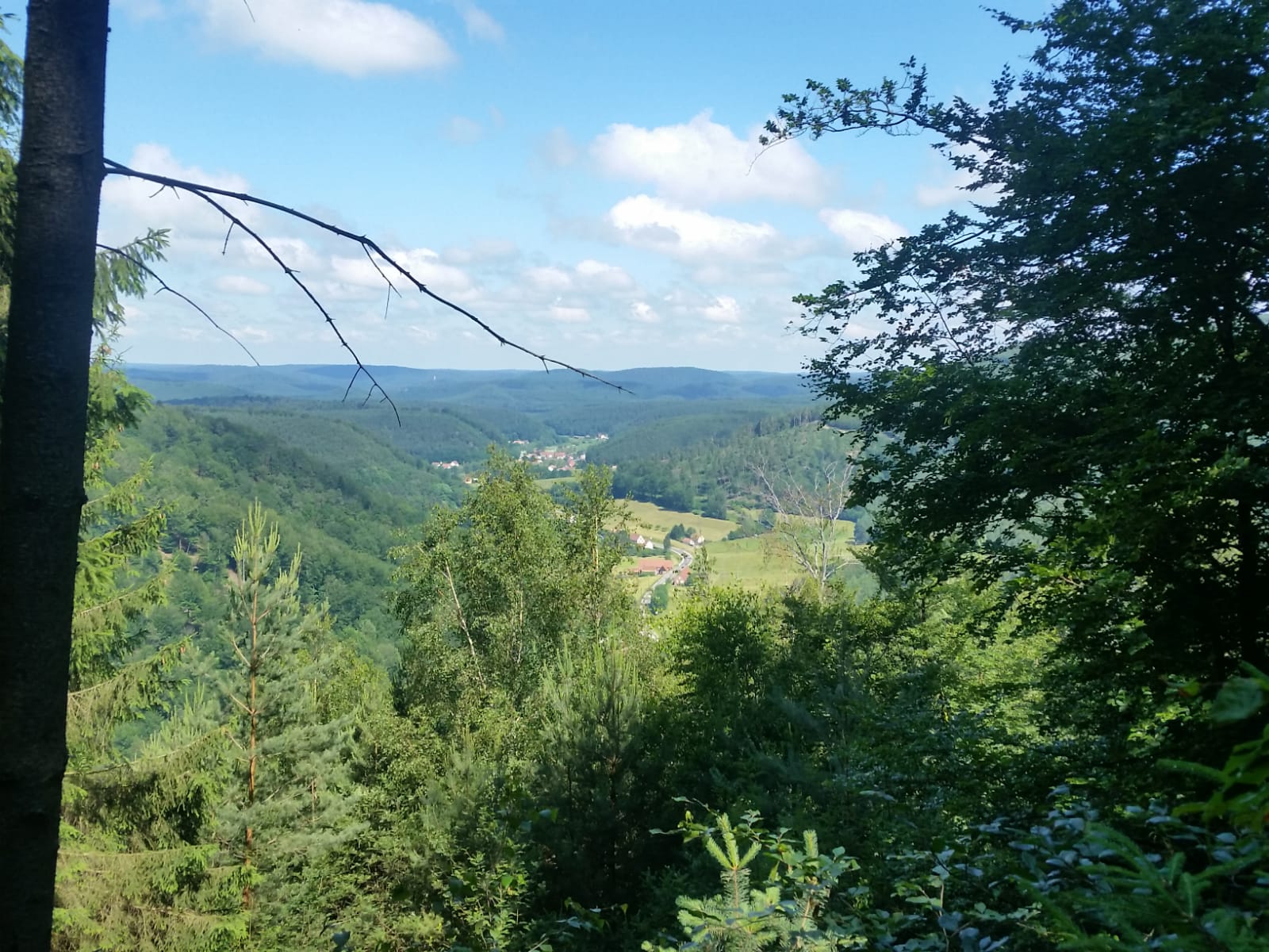 23 juin : Momo dans le coin de Niederbronn