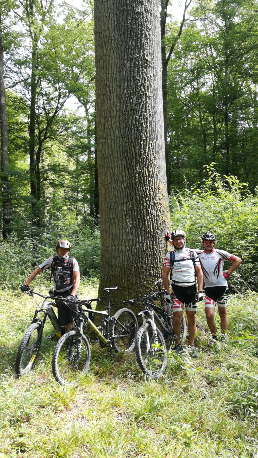 Picnic 2019 : sortie VTT