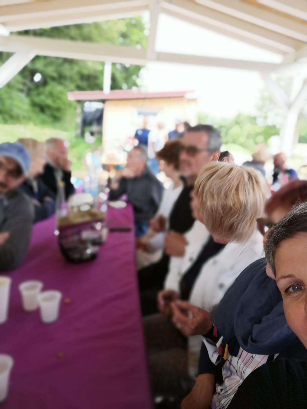 Picnic 2019 : ...