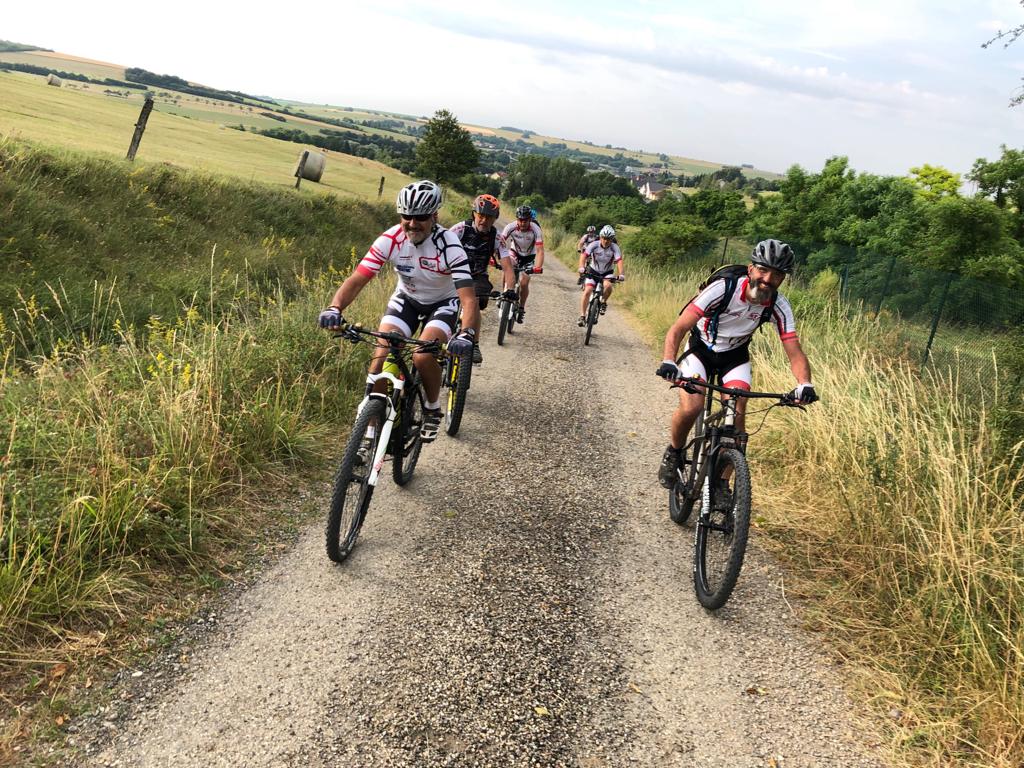 Picnic 2019 : ...