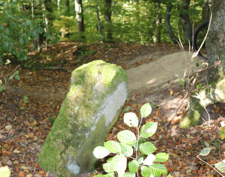 14 oct : singel des éoliennes