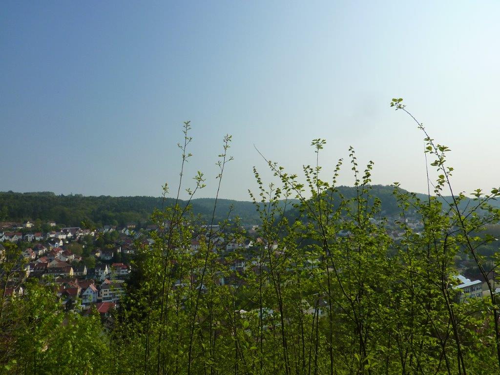 Rodalben