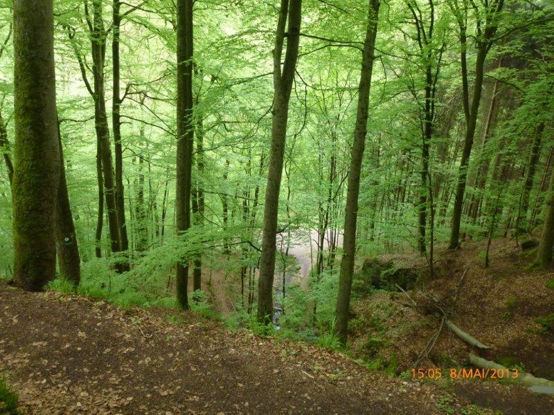 Sortie  Rodalben 8 mai 2013 112