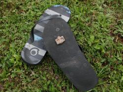 Cimg4591
