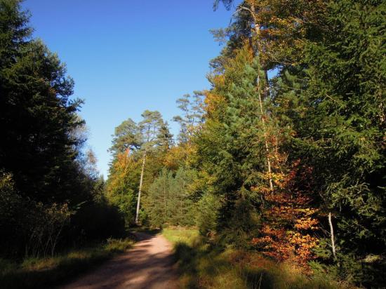dscn4631.jpg