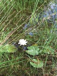 Img 20180531 wa0004