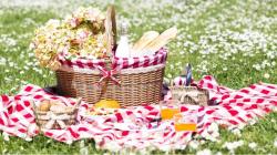 Panier pique nique avec anse